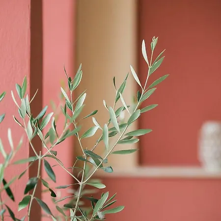 Penelope Corfu Corfu (city)