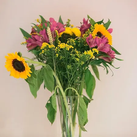 Appartement Penelope Corfu *